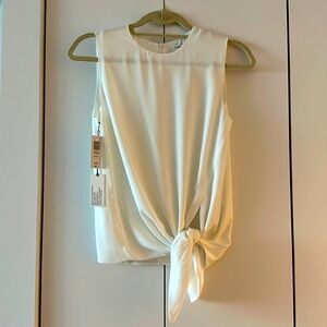 Babaton Hopkins blouse